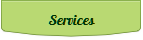 Services_NRs_regularOver